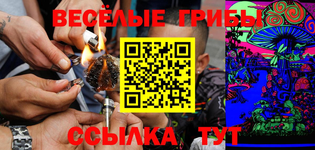 Псилоцибиновые грибы MAGIC MUSHROOMS  Галлюциногенные грибы MAGIC MUSHROOMS  Балахна  купить наркоту  Вход с VPN 